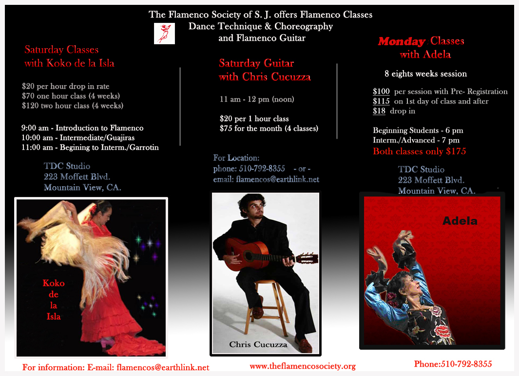 flamenco/classes2015.jpg